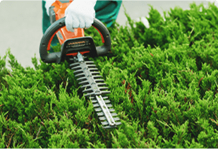 生垣の刈り込み